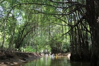 Khao Lak, Sri Phang Nga Canoe and Tam Nang Waterfall Tour - Housity