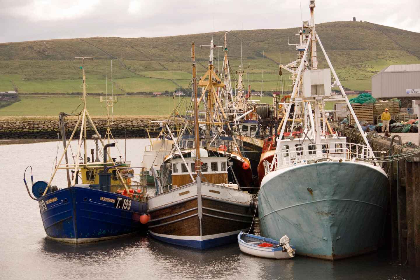 Dagsferð til Dingle frá Limerick
