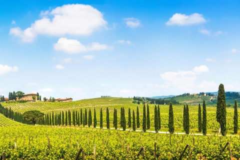 Ab Florenz: Chianti-Weintour mit VerkostungTour auf Englisch