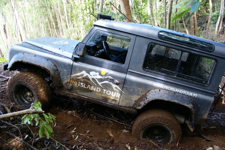 Terceira Island: Full-Day Mud Adventure & Traditional Lunch Private Tour