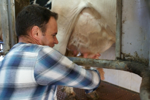 Azoren: dag op de boerderij met buiten traditionele lunchGedeelde tour