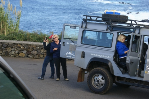 Terceira Island Whale Watching and Jeep Tour Private Whale Watching and Jeep Tour