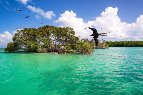 Tour de un día por la Reserva de la Biosfera de Sian Ka'an