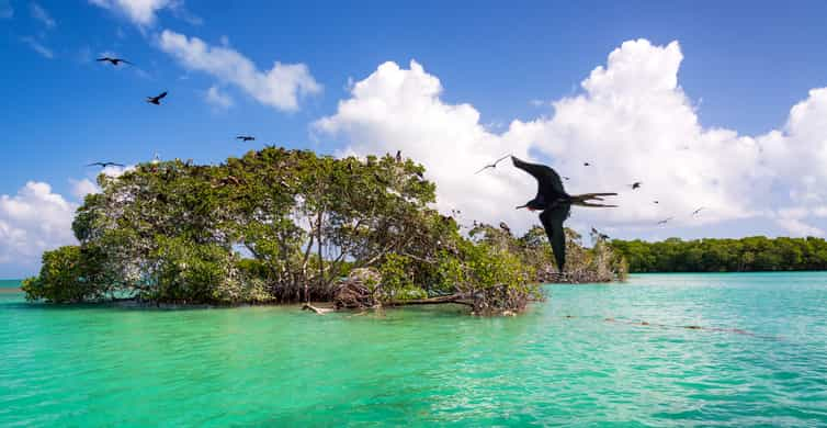 Sian Ka’an Biosphere Reserve Full-Day Discovery Tour | GetYourGuide