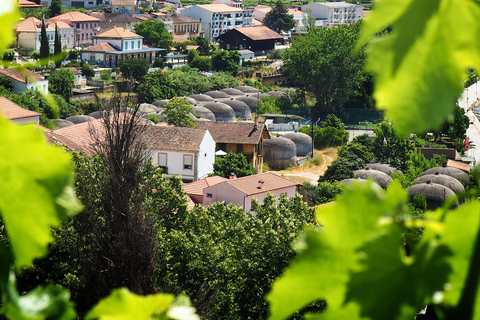From Porto: Small-Group Douro Valley Wine Tour Lunch & Boat
