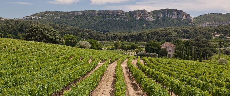 Destination Cassis : le top 5 hors saison MyProvence