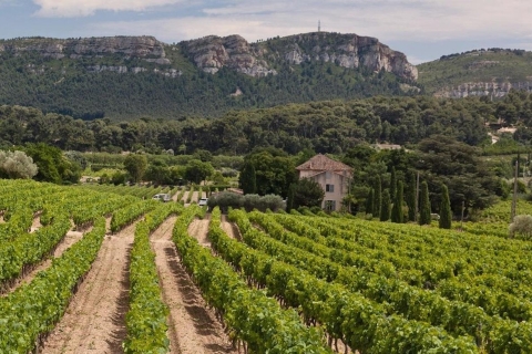 Tagesausflug, das Beste von PROVENCE: Aix-en-Provence & Cassis