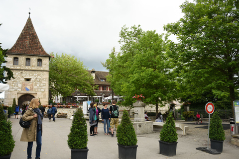 From Zurich to The Rhine Falls