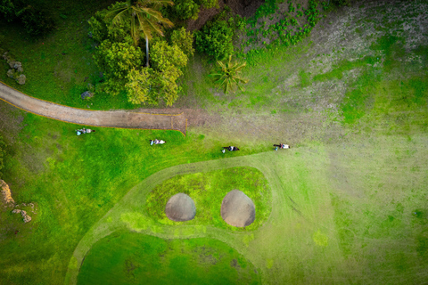Zanzibar: Horseback Riding Experience