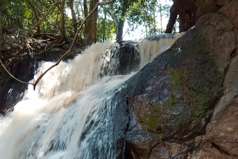 Nairobi: tour guiado a pie por el bosque de Karura