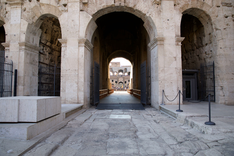 Rome: 1-Hour Fast-Track Colosseum Tour Tour in English