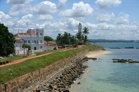 2 días de avistamiento de ballenas y sur de Sri Lanka