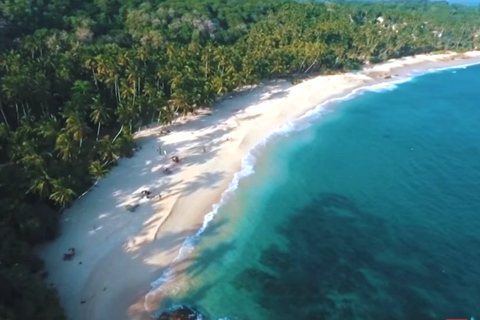 Observação de baleias e excursão ao sul do Sri Lanka