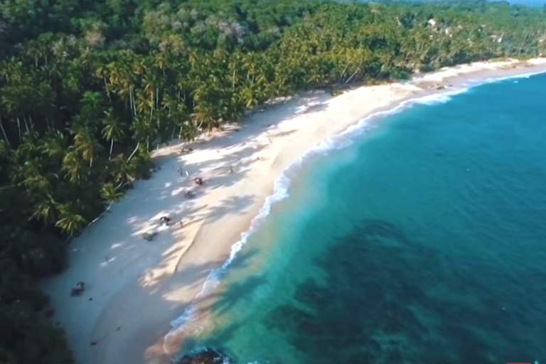 Observation de baleines de 2 jours et visite du sud du Sri Lanka