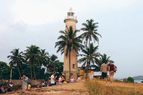 Ab Colombo: 2-Tage-Walbeobachtung & Süd-Sri Lanka Tour