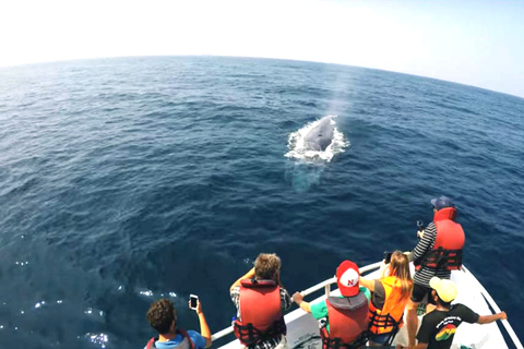 2 días de avistamiento de ballenas y sur de Sri Lanka