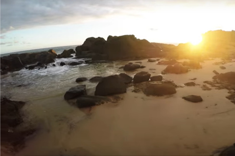 Tour di 2 giorni per l&#039;osservazione delle balene e lo Sri Lanka meridionale