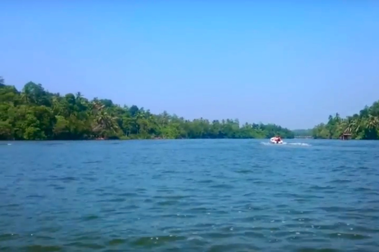 Observation de baleines de 2 jours et visite du sud du Sri Lanka