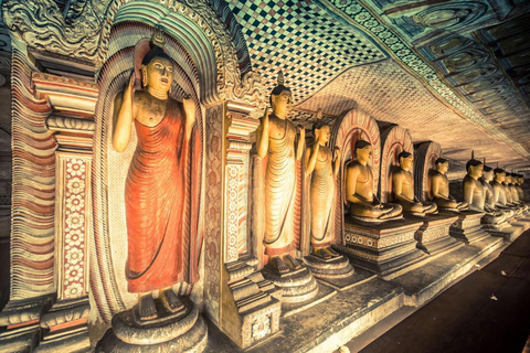 Sigiriya & Dambulla: with Jeep Safari Tour From Pasikudah