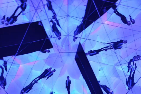 Macao: teamLab SuperNature Entry Ticket & digital Guide