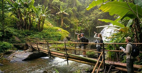 Chiang Mai: Doi Inthanon Birdwatching and Hiking Tour