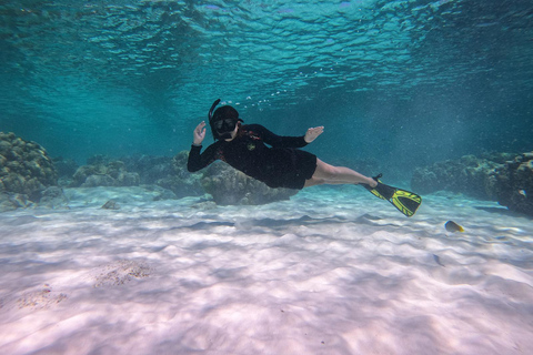 Phuket Dolfijn Zoektocht: Expeditie naar Racha &amp; Maiton eiland