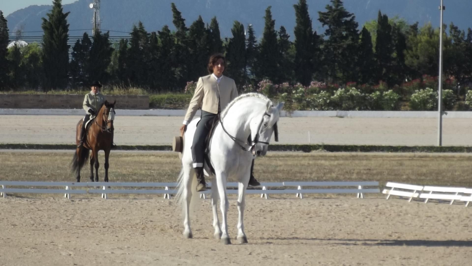 Mallorca: Spanische klassische Reitstunde
