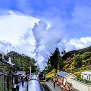 From York: Steam Train, Whitby, and North York Moors