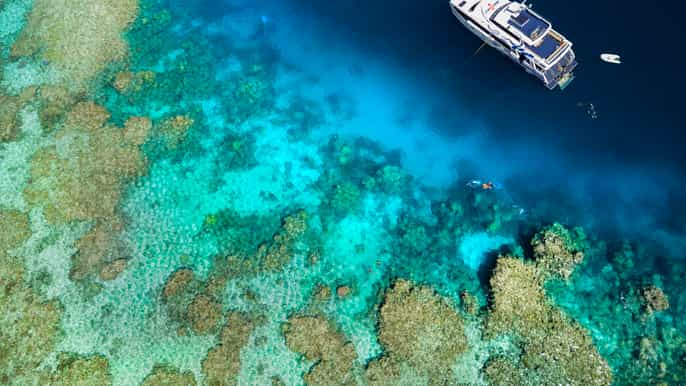 Desde Port Douglas: esnórquel en la Gran Barrera de Coral