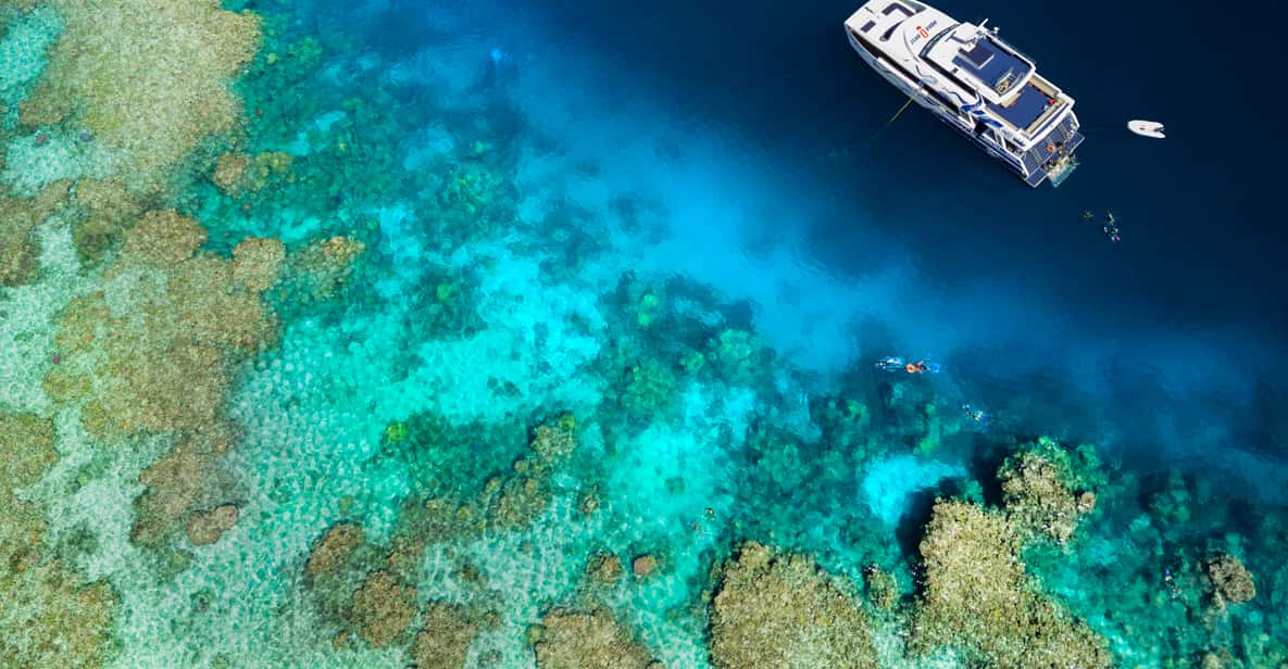 From Cairns Luxury Great Barrier Reef Snorkel & Dive GetYourGuide