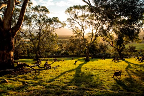 5 Of Hobart's Best In One Day