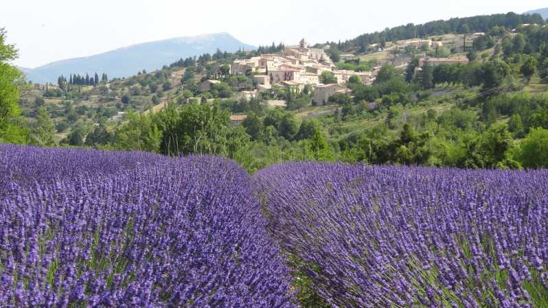 From Aix-en-Provence: Sault Lavender and Gordes Day Trip