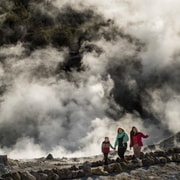 Rotorua: Hell's Gate Geothermal Walk Rotorua: Hell's Gate Geothermal Walk