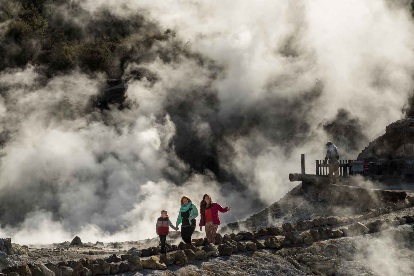 Rotorua: Hell's Gate Geothermal Walk - Geothermal Walk