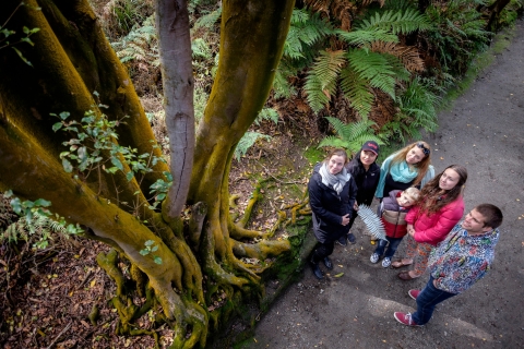 Rotorua : promenade géothermale à Hells GatePromenade géothermique
