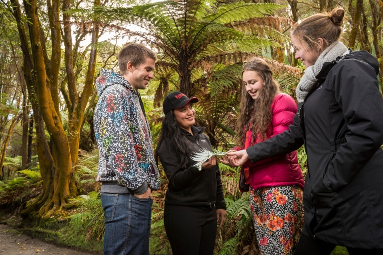 Rotorua: Geothermal-Wanderung nach TikitereGeothermal-Wanderung