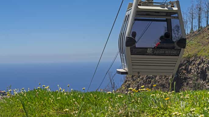 botanical garden cable car ticket