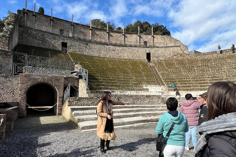 From Naples: Pompei and Naples Tour with tickets included Private tour with driver only - Pompeii tickets included