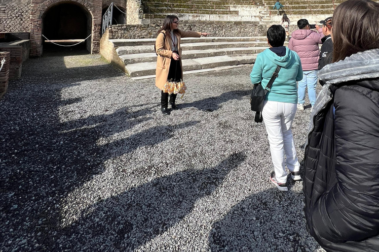 From Naples: Pompei and Naples Tour with tickets included Private tour with driver only - Pompeii tickets included