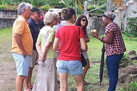 Grenade: Tour des épices des îles