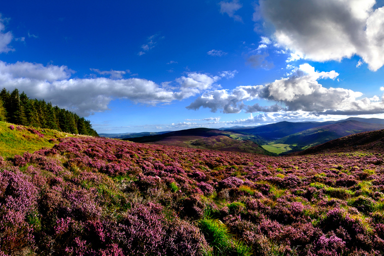 Massif de Wicklow, Glendalough et Kilkenny : visite guidée