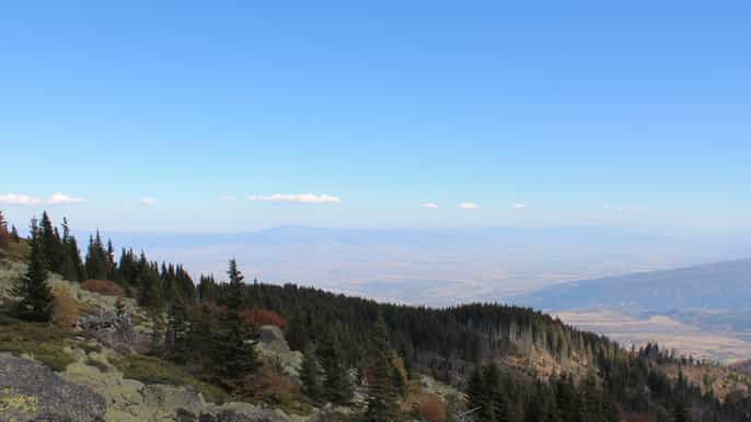 day trip to vitosha boyana church and dragalevtsi monastery