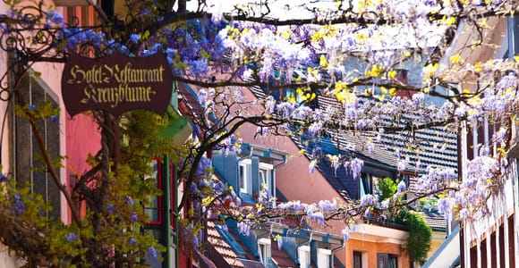 Freiburg: Gässle, Bächle und mehr Stadtführung