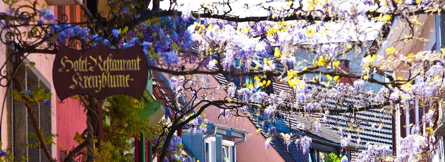 Fribourg : Gässle, Bächle et autres visites de la ville