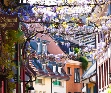 Friburgo: Tour della città di Gässle, Bächle e altro ancora