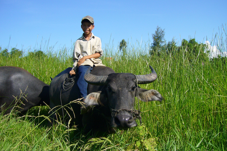 Hoi An Countryside: Guided Morning or Afternoon Bicycle TourGuided Morning Bicycle Tour with Lunch