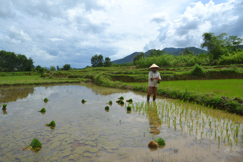 Hoi An Countryside full day: 23 Km Small Group Bicycle Tour Hoi An Countryside: 23-Kilometer Small-Group Bicycle Tour