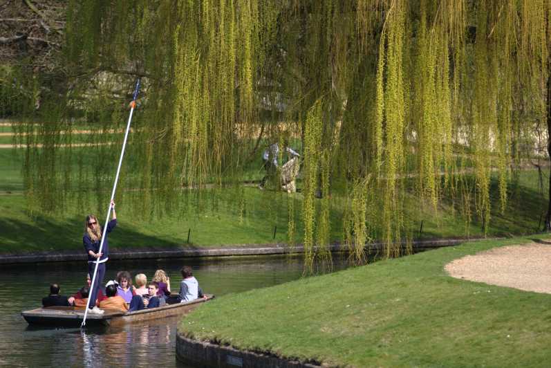 cambridge guided punting tour