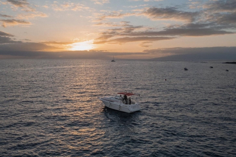 Tenerife : Bateau privé de luxe au coucher du soleilTenerife : Expérience privée d'un charter de luxe au coucher du soleil