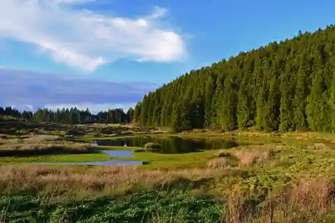 Ilha Terceira: Caminhada Mistérios Negros
